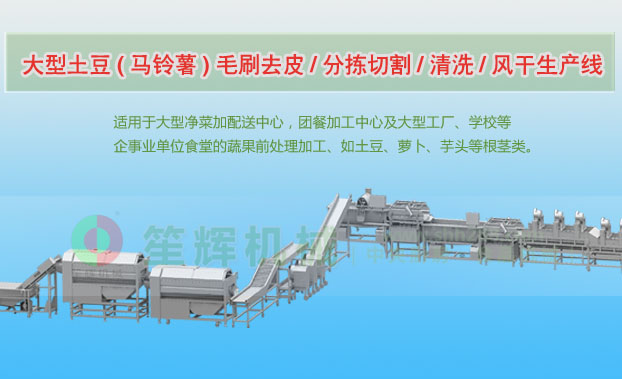 定远连续式土豆去皮清洗切割风干生产线